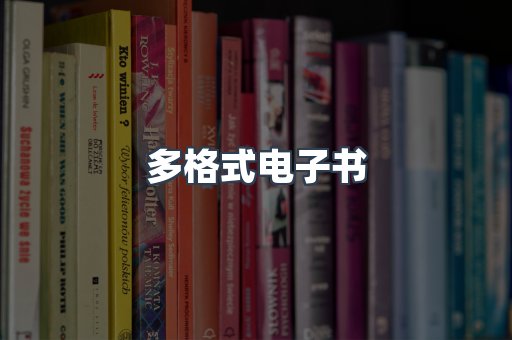 多格式电子书